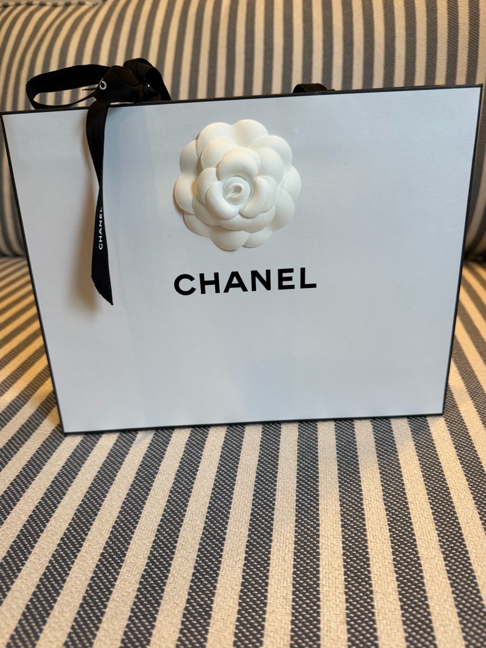 CHANEL White Gift Bag with Camellia and Black Ribbon ❤️